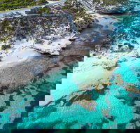 Rottnest Island Round-Trip Ferry from Perth or Fremantle - Accommodation Cooktown