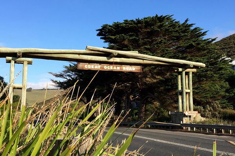 Melbourne Super Saver: Great Ocean Road + Wilsons Promontory + Attraction Pass - Accommodation Cooktown 1