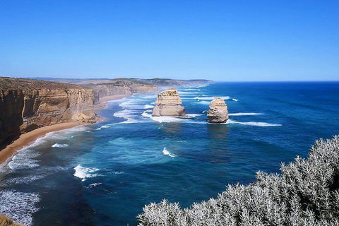Melbourne Super Saver: Great Ocean Road + Wilsons Promontory + Attraction Pass - Accommodation Cooktown 5