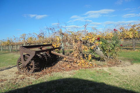 Swan Valley Tour From Perth: Wine, Beer And Chocolate Tastings - Accommodation Cooktown 3