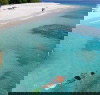 Fitzroy Island Day Trip from Cairns - Accommodation Cooktown