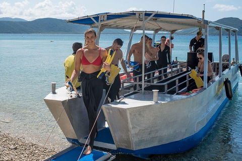 Fitzroy Island Day Trip From Cairns - Accommodation Cooktown 5