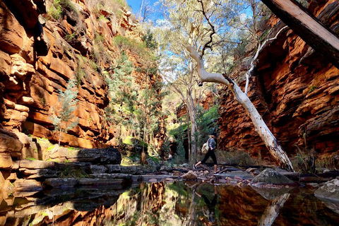 10-Day Adelaide To Perth Adventure Tour - Accommodation Cooktown 5