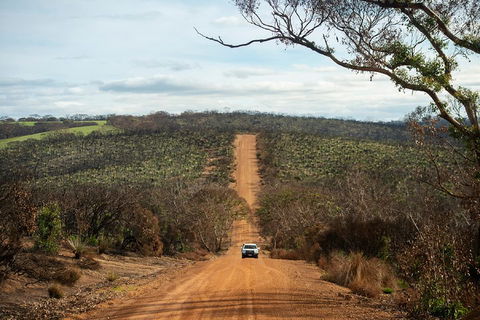 NEW TOUR - Kangaroo Island Road To Recovery Tour (1 Day/1 Night) - Accommodation Cooktown 2