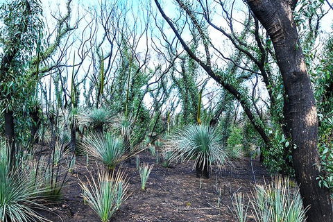 NEW TOUR - Kangaroo Island Road To Recovery Tour (1 Day/1 Night) - Accommodation Cooktown 3