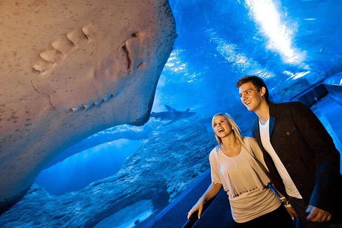 Dive With Sharks At AQWA - Accommodation Cooktown 0