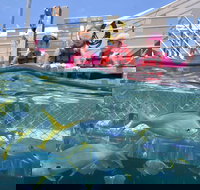 Outer Reef Pontoon Experience from Cairns - Accommodation Cooktown