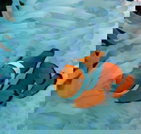 Seastar Luxury Outer Great Barrier Reef Island and Reef Tour from Cairns - Accommodation Cooktown