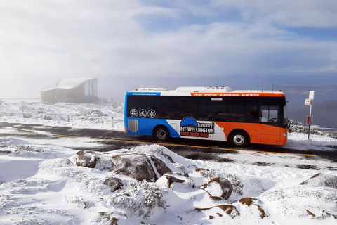 Hobart Hop-On Hop-Off Bus & Kunanyi/Mt Wellington Tour - Accommodation Cooktown 5