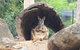 Featherdale Wildlife Park General Admission - thumb 2