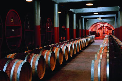 Penfolds Magill Estate Iconic Experience - Accommodation Cooktown 4