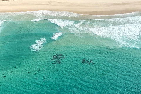 Coastal Helicopter Shared Flight - 20 Minutes - Accommodation Cooktown 4