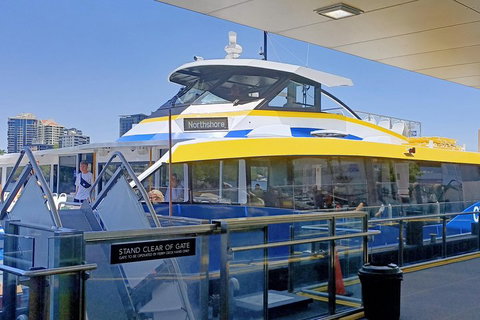 Brisbane City Essentials Walking Tour - Accommodation Cooktown 3