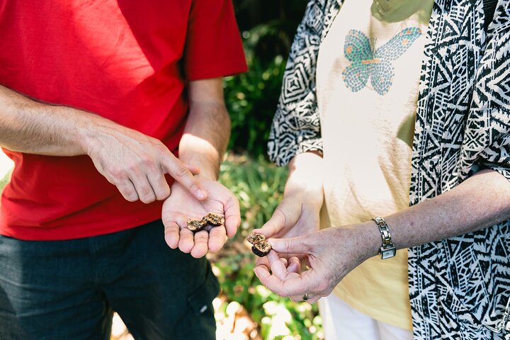 Perth WA Accommodation Cooktown