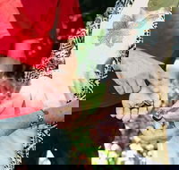 Perth Arcades and Laneways Walking Tour - Accommodation Cooktown