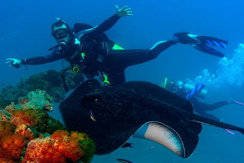 Scuba Dive The S.S. Yongala Wreck On The Great Barrier Reef. - Accommodation Cooktown 0