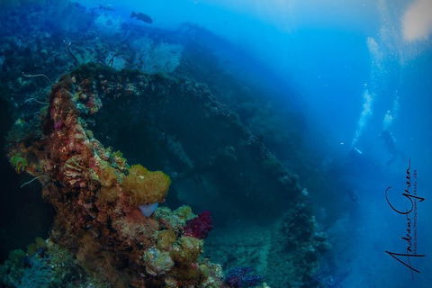 Scuba Dive The S.S. Yongala Wreck On The Great Barrier Reef. - Accommodation Cooktown 3