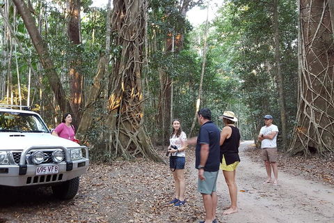 Great Beach Drive 4WD Tour - Private Charter From Noosa To Rainbow Beach - Accommodation Cooktown 1