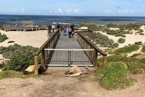 Kangaroo Island 4WD Tour - Best Of KI - Accommodation Cooktown 2