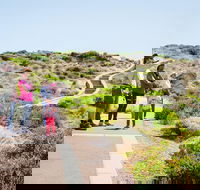 Margaret River Coastal and Wildlife Eco Trip from Busselton or Dunsborough - Accommodation Cooktown