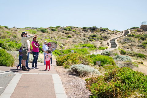 Margaret River Coastal And Wildlife Eco Trip From Busselton Or Dunsborough - Accommodation Cooktown 0