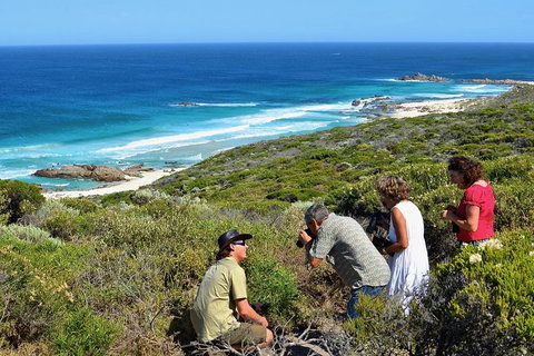 Margaret River Coastal And Wildlife Eco Trip From Busselton Or Dunsborough - Accommodation Cooktown 2