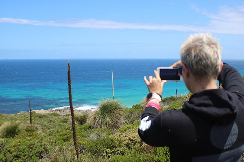 Margaret River Coastal And Wildlife Eco Trip From Busselton Or Dunsborough - Accommodation Cooktown 3