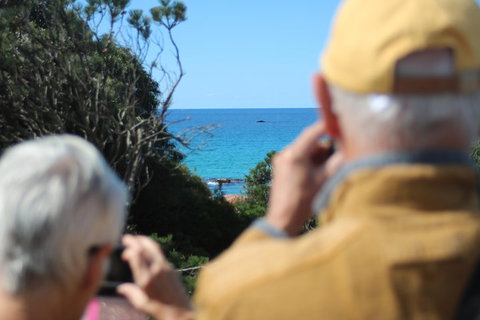Margaret River Coastal And Wildlife Eco Trip From Busselton Or Dunsborough - Accommodation Cooktown 5